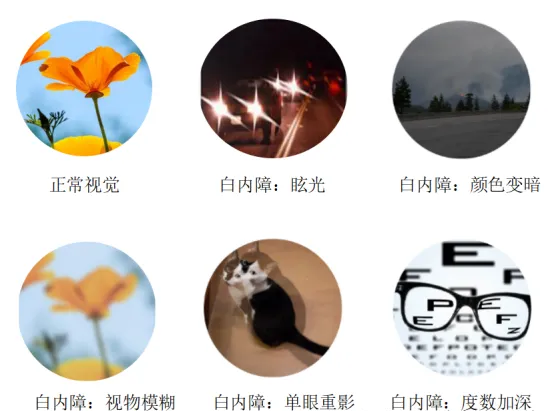 c23d84f0-701b-4358-a76e-a89f9872e40d.png